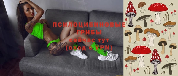 не бодяженный Осташков