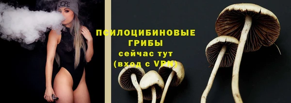 герыч Пересвет
