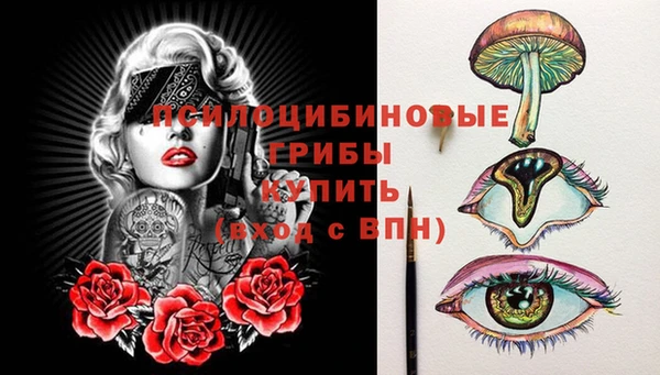 PSILOCYBIN Остров