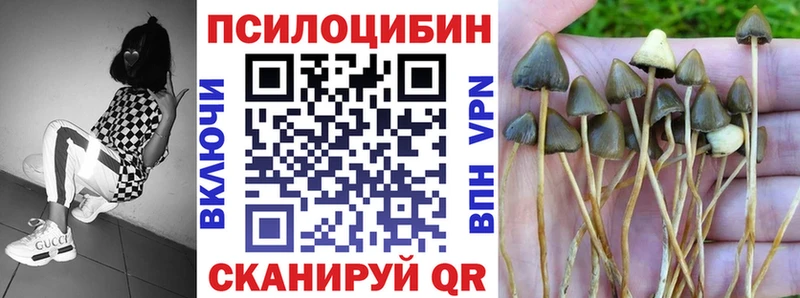 МЕГА tor  Калач  Галлюциногенные грибы Psilocybe 